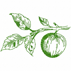 Apple Embroidery Design 1